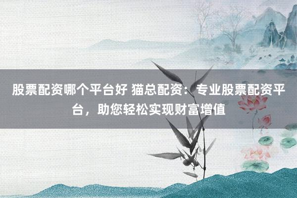 股票配资哪个平台好 猫总配资：专业股票配资平台，助您轻松实现财富增值
