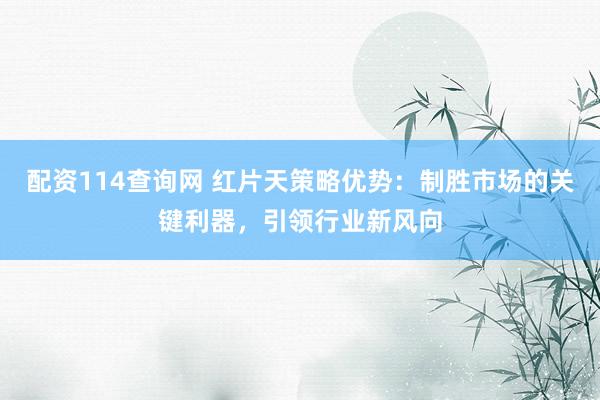 配资114查询网 红片天策略优势：制胜市场的关键利器，引领行业新风向