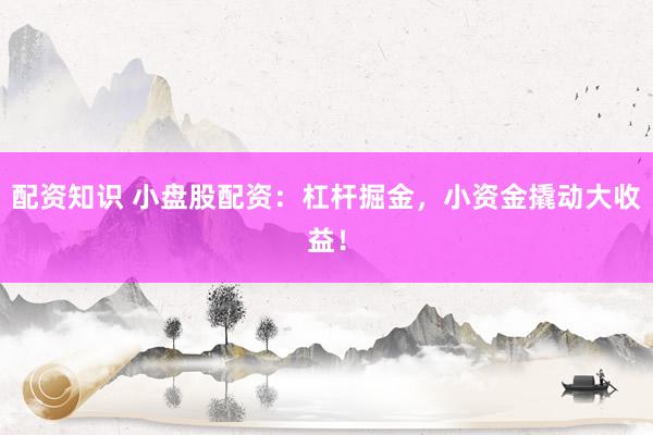 配资知识 小盘股配资：杠杆掘金，小资金撬动大收益！