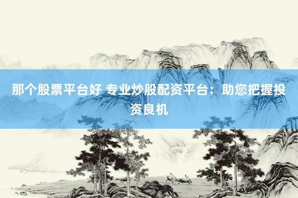 那个股票平台好 专业炒股配资平台：助您把握投资良机