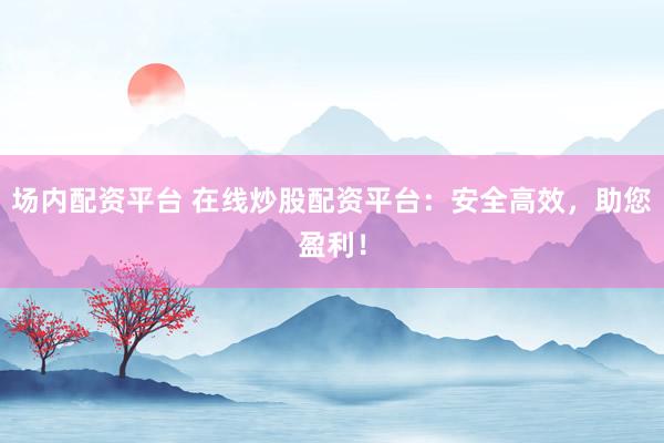 场内配资平台 在线炒股配资平台：安全高效，助您盈利！