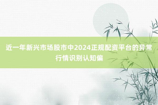 近一年新兴市场股市中2024正规配资平台的异常行情识别认知偏