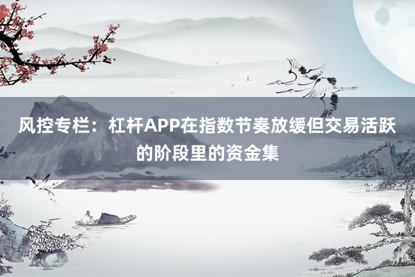 风控专栏：杠杆APP在指数节奏放缓但交易活跃的阶段里的资金集