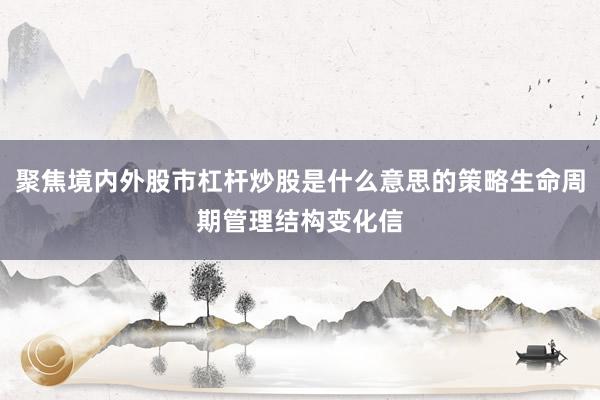 聚焦境内外股市杠杆炒股是什么意思的策略生命周期管理结构变化信